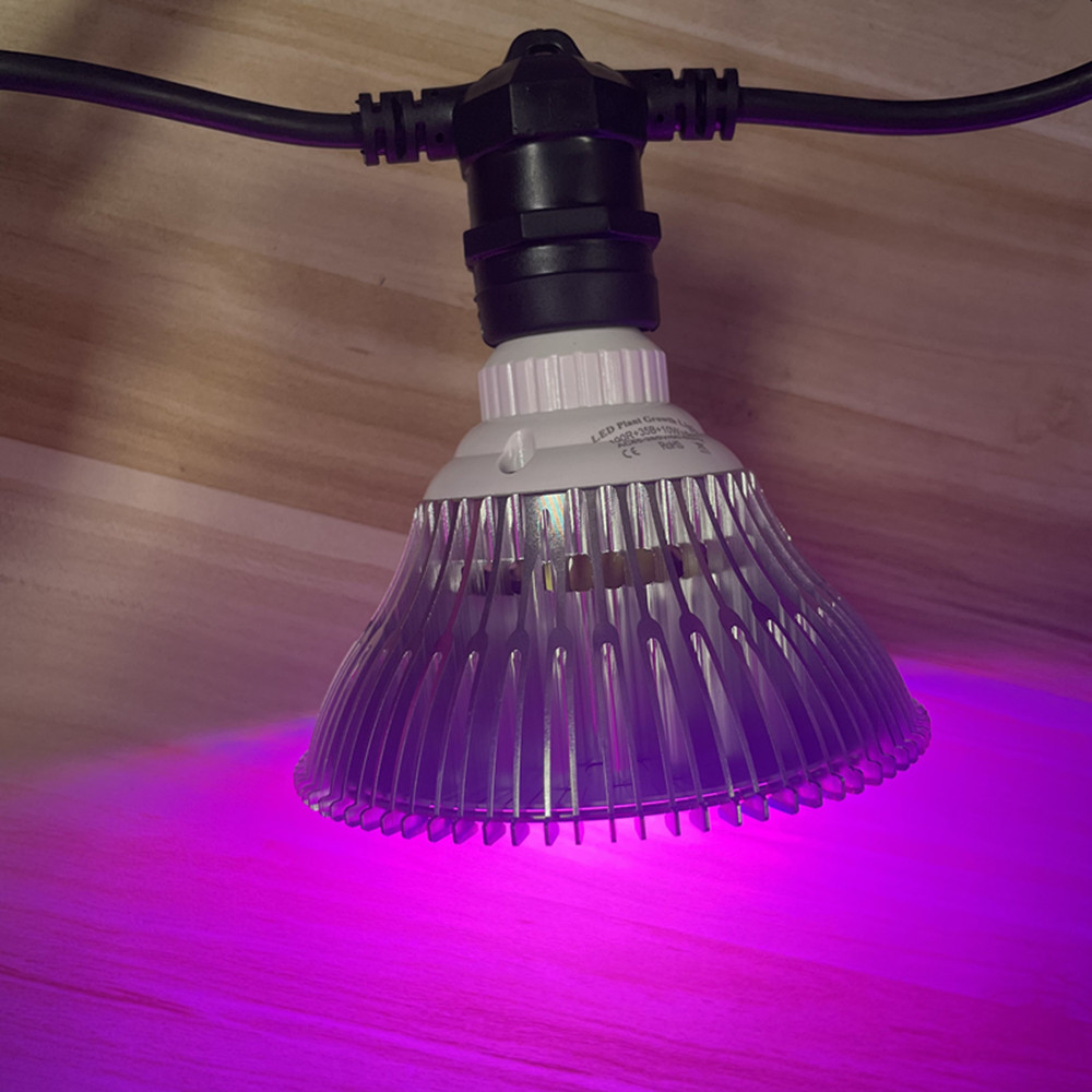 Cabo de LED de 10M à prova d'á - Outdoor Lighting Cable avaliação e preço
